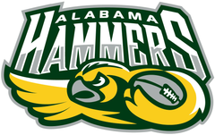 2 Wireless Cars Light for Alabama Hammers